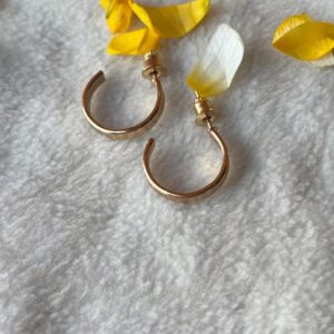 Simple Curve Earring